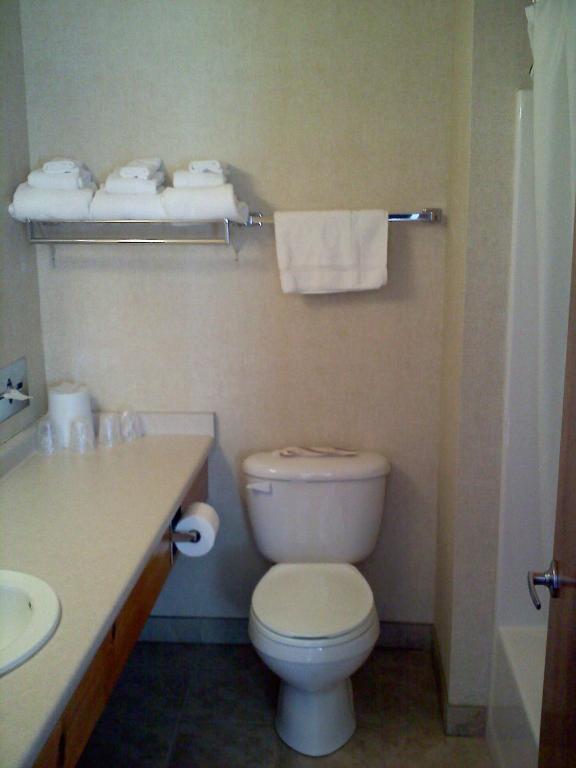 لايك بلاسيد Carriage House Motor Inn الغرفة الصورة